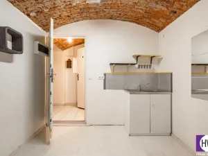 Prodej bytu 1+kk, Praha, Vlastislavova, 16 m2