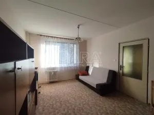 Prodej bytu 1+1, Nová Paka, K Hájku, 35 m2