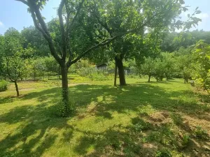 Pronájem zahrady, Brno, 438 m2