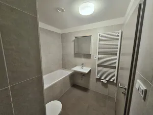 Pronájem bytu 1+kk, Libčice nad Vltavou, Pod Hliníkem, 33 m2