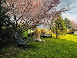 Pronájem rodinného domu, Křenice, V Pálce, 116 m2