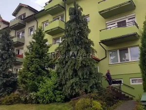 Pronájem bytu 1+kk, Nový Jičín, 26 m2