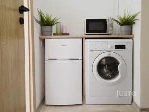 Pronájem bytu 1+kk, Ostrava - Hrabůvka, Krakovská, 22 m2