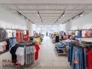 Pronájem kanceláře, Benešov, 190 m2