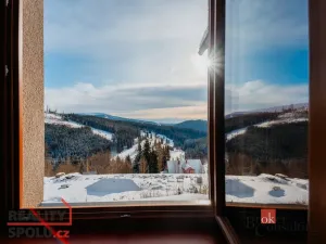 Prodej bytu 2+kk, Strážné, 54 m2