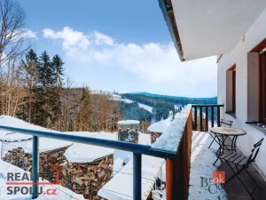 Prodej bytu 2+kk, Strážné, 54 m2