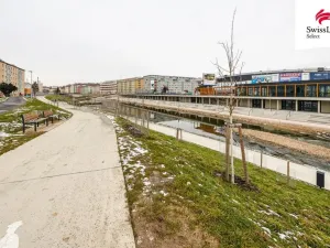 Prodej bytu 2+kk, Brno, Renneská třída, 44 m2