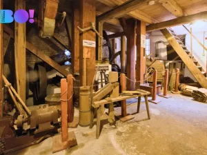 Prodej historického objektu, Mikulůvka, 188 m2