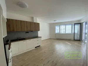 Pronájem bytu 2+kk, Olomouc, Eduarda Hamburgera, 54 m2