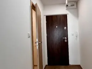 Pronájem bytu 1+kk, Ostrava - Moravská Ostrava, Lechowiczova, 27 m2