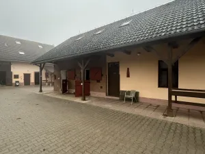 Pronájem bytu 1+kk, Neratovice, Hlavní, 15 m2