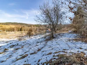 Prodej pozemku pro bydlení, Kašperské Hory - Dolní Dvorce, 3517 m2
