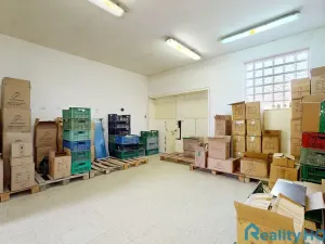 Prodej výrobních prostor, Bechyně, U Vodojemu, 496 m2