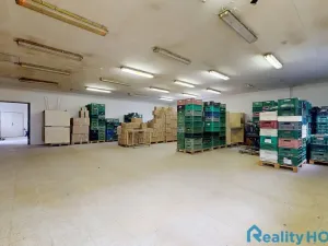 Prodej výrobních prostor, Bechyně, U Vodojemu, 496 m2