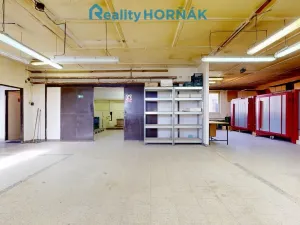 Prodej výrobních prostor, Bechyně, U Vodojemu, 496 m2