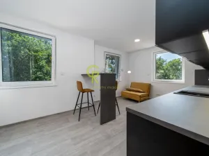 Prodej bytu 2+kk, Skorkov - Otradovice, 49 m2