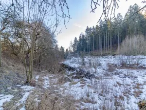 Prodej pozemku pro bydlení, Žihobce - Šimanov, 15955 m2