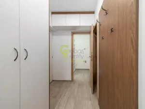 Prodej bytu 3+kk, Skorkov - Otradovice, 56 m2
