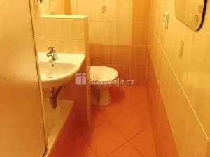 Pronájem bytu 1+1, Děčín - Děčín IX-Bynov, Vítova, 36 m2