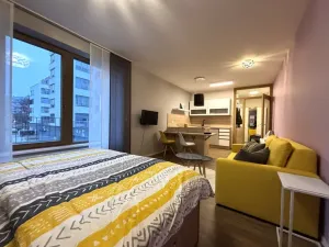 Pronájem bytu 1+kk, Plzeň - Východní Předměstí, Pallova, 37 m2