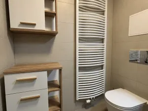 Pronájem bytu 1+kk, Plzeň - Východní Předměstí, Pallova, 37 m2