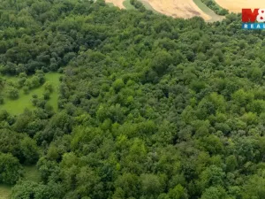 Prodej louky, Chabařovice - Roudníky, 46243 m2