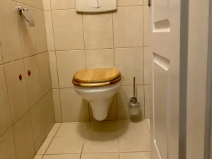 Pronájem bytu 4+kk, Moravany, Modřická, 98 m2