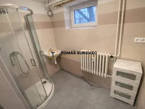 Pronájem bytu 2+1, Valašské Klobouky, Československé armády, 40 m2