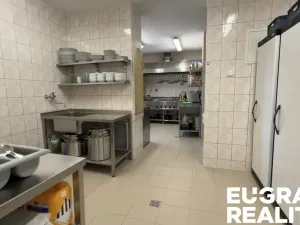 Prodej ubytování, Mikulášovice, 700 m2