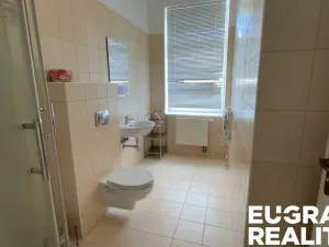 Prodej ubytování, Mikulášovice, 700 m2