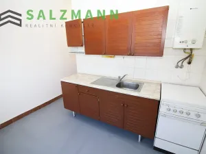 Pronájem bytu 1+1, Plzeň, Blatenská, 38 m2