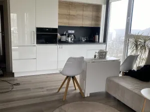 Pronájem bytu 3+kk, Nová Ves pod Pleší, Řadová, 66 m2