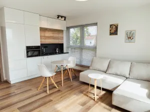 Pronájem bytu 3+kk, Nová Ves pod Pleší, Řadová, 66 m2