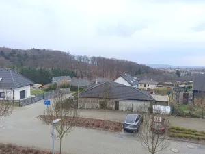 Pronájem bytu 3+kk, Nová Ves pod Pleší, Řadová, 66 m2