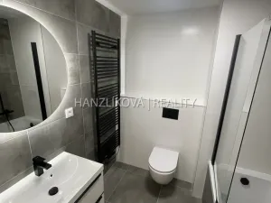 Pronájem bytu 3+kk, České Budějovice, Hálkova, 50 m2