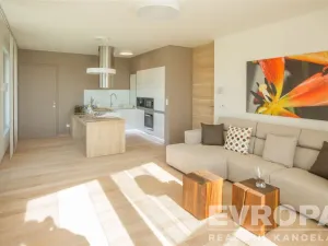 Prodej bytu 3+kk, Beroun - Beroun-Závodí, Na Veselou, 123 m2