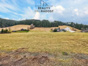 Prodej pozemku pro bydlení, Velké Karlovice, 45173 m2