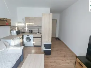 Pronájem bytu 1+kk, Cheb, Šeříková, 19 m2