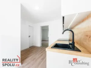 Pronájem bytu 1+1, Frýdek-Místek - Frýdek, Křižíkova, 45 m2