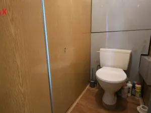 Pronájem bytu 2+kk, Písek - Pražské Předměstí, Vinařického, 46 m2