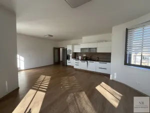 Pronájem bytu 4+kk, Karlovy Vary, Svahová, 111 m2