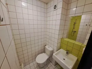 Pronájem bytu 1+kk, Praha, U vinných sklepů, 25 m2