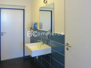 Pronájem kanceláře, Brno, Veveří, 61 m2