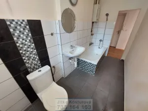 Pronájem bytu 1+1, Krnov - Pod Bezručovým vrchem, Březinova, 40 m2
