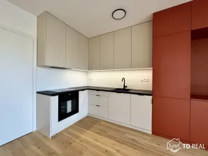 Pronájem bytu 1+kk, Brno, Bratislavská, 42 m2