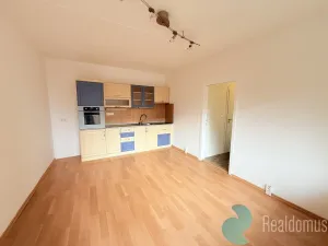 Pronájem bytu 2+kk, České Budějovice, Netolická, 42 m2