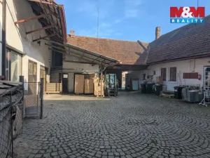 Pronájem rodinného domu, Tisová, 480 m2