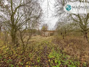 Prodej pozemku pro bydlení, Libina, 7132 m2