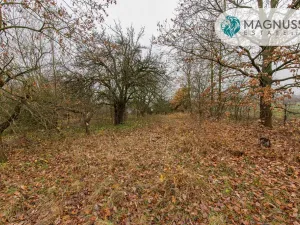 Prodej pozemku pro bydlení, Libina, 7132 m2