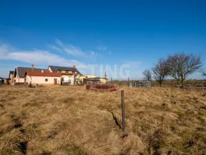 Prodej pozemku pro bydlení, Otice, Domky, 529 m2